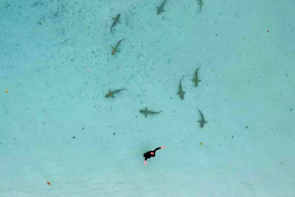 Incontri a Raja Ampat